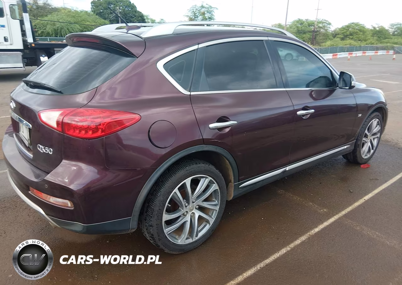 2017 Infiniti Qx50 VIN:JN1BJ0RP3HM389228 - 4