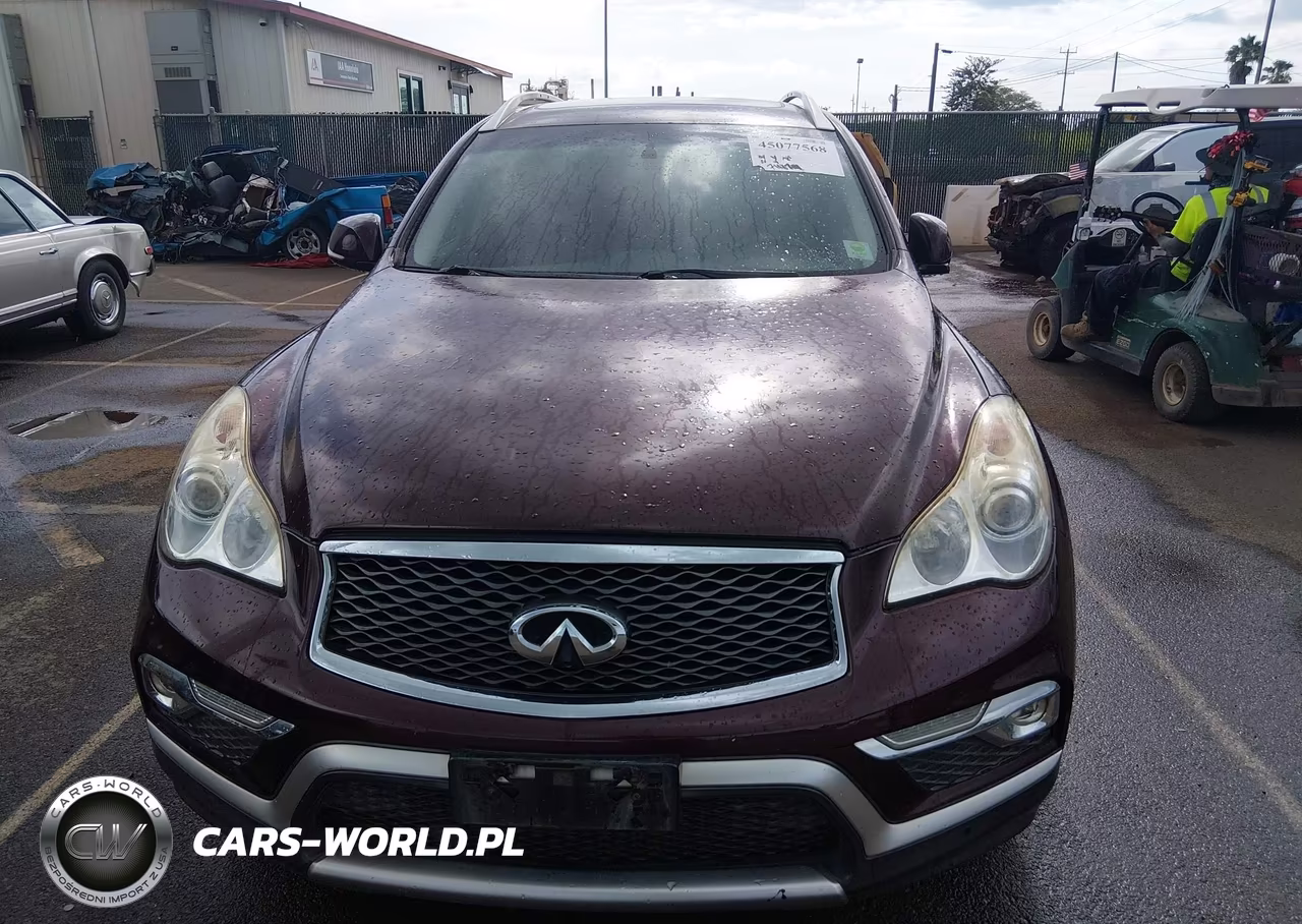 2017 Infiniti Qx50 VIN:JN1BJ0RP3HM389228 - 6