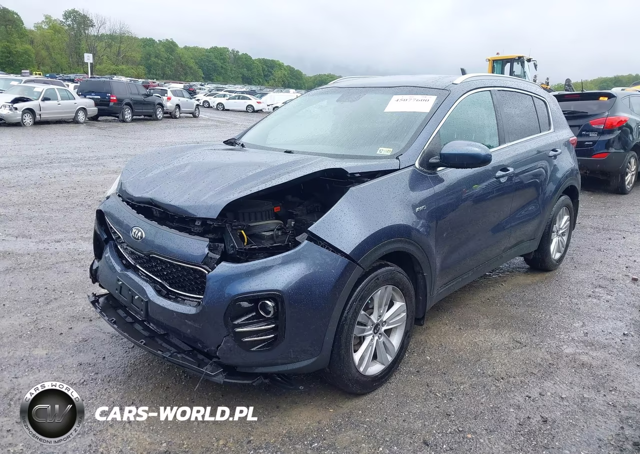 2019 Kia Sportage Lx VIN:KNDPMCAC6K7494470 - 2