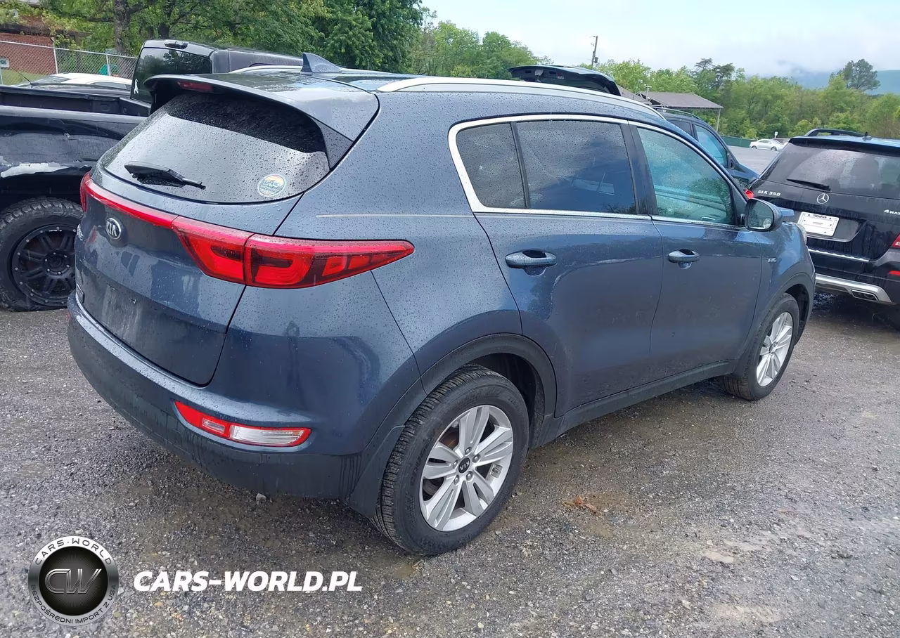 2019 Kia Sportage Lx VIN:KNDPMCAC6K7494470 - 4