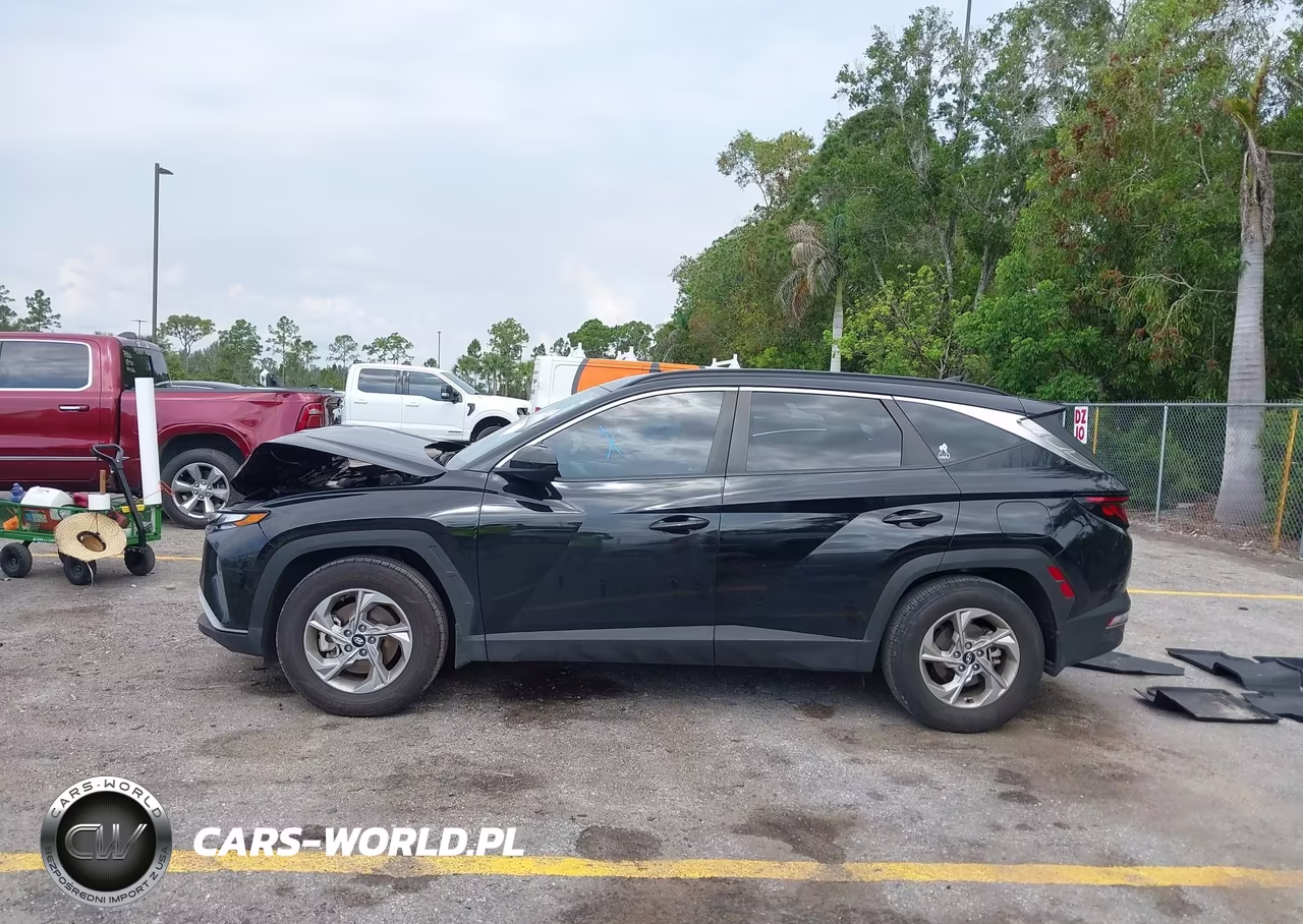 2024 Hyundai Tucson Sel VIN:5NMJB3DE8RH380501 - 14