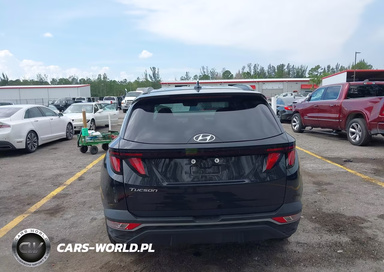 2024 Hyundai Tucson Sel VIN:5NMJB3DE8RH380501 - 16