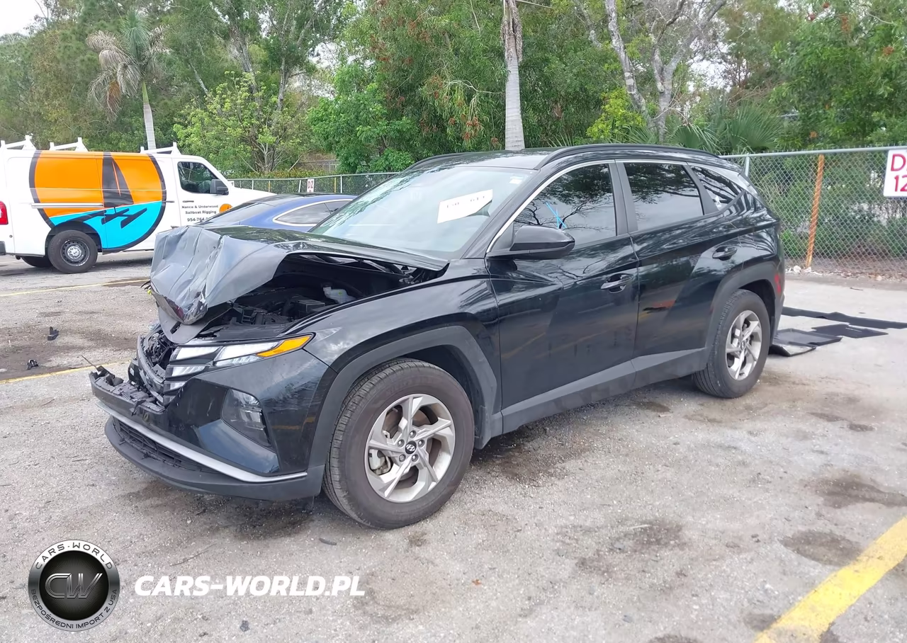 2024 Hyundai Tucson Sel VIN:5NMJB3DE8RH380501 - 2