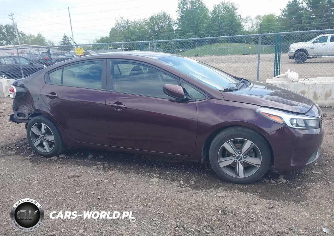 2018 Kia Forte Lx VIN:3KPFL4A79JE250799 - 13