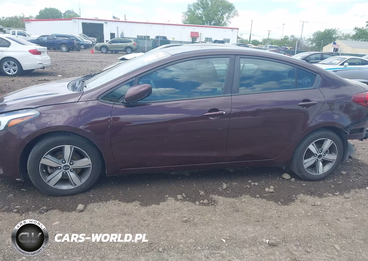 2018 Kia Forte Lx VIN:3KPFL4A79JE250799 - 14