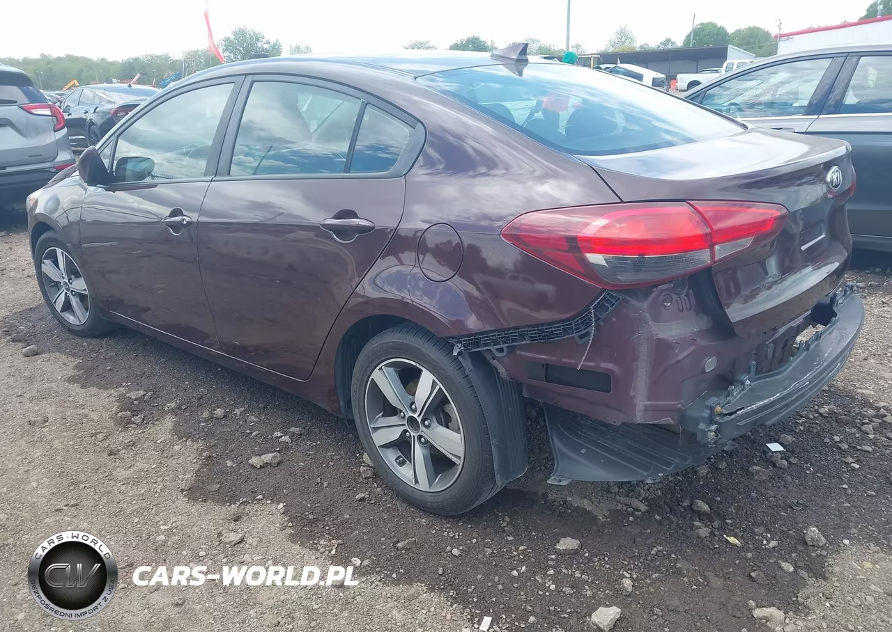 2018 Kia Forte Lx VIN:3KPFL4A79JE250799 - 3