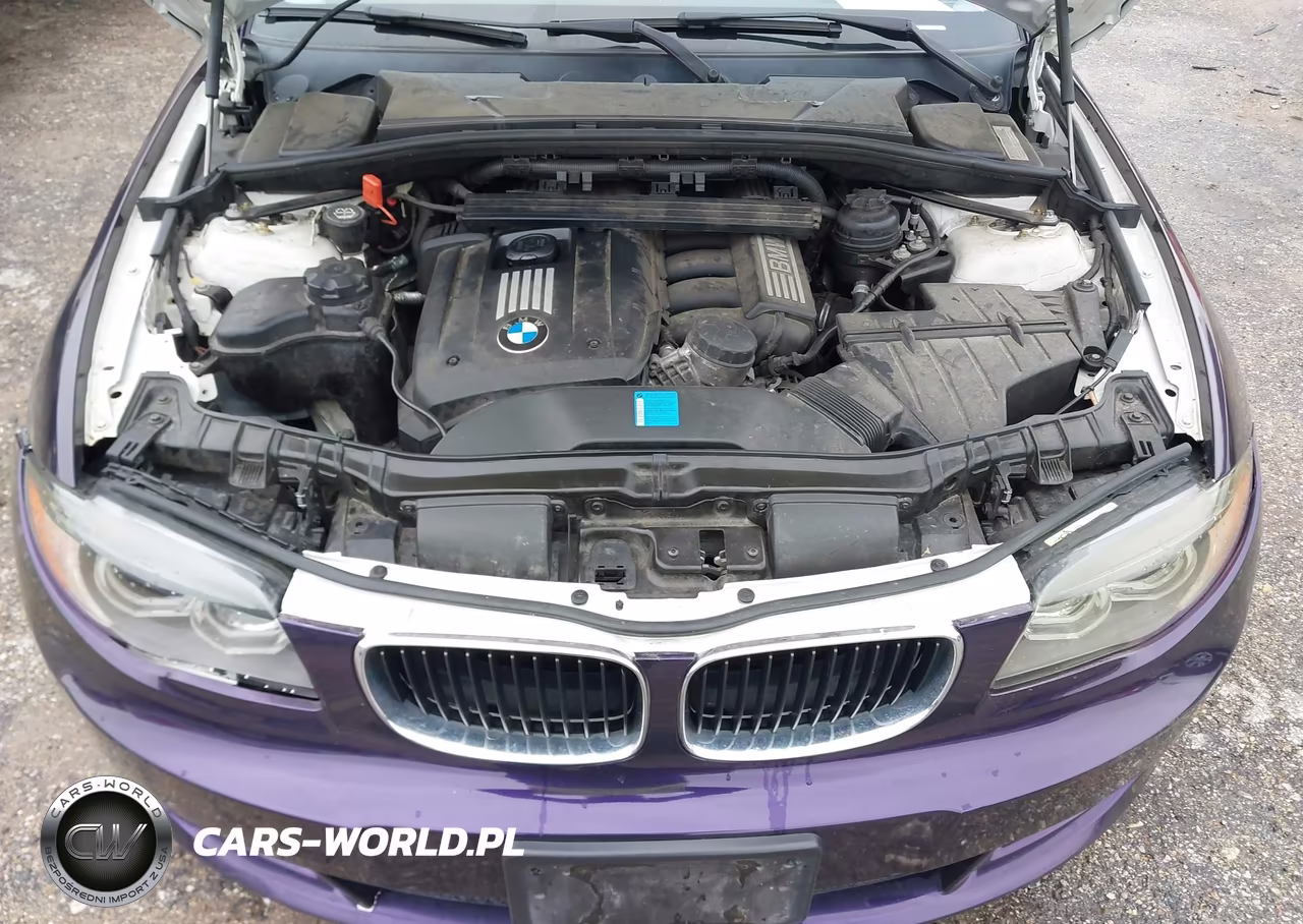 2008 BMW 128I VIN:WBAUP73518VF08649 - 10