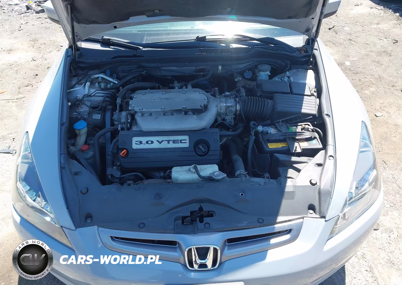 2004 Honda Accord 3.0 Ex VIN:1HGCM66594A029098 - 10