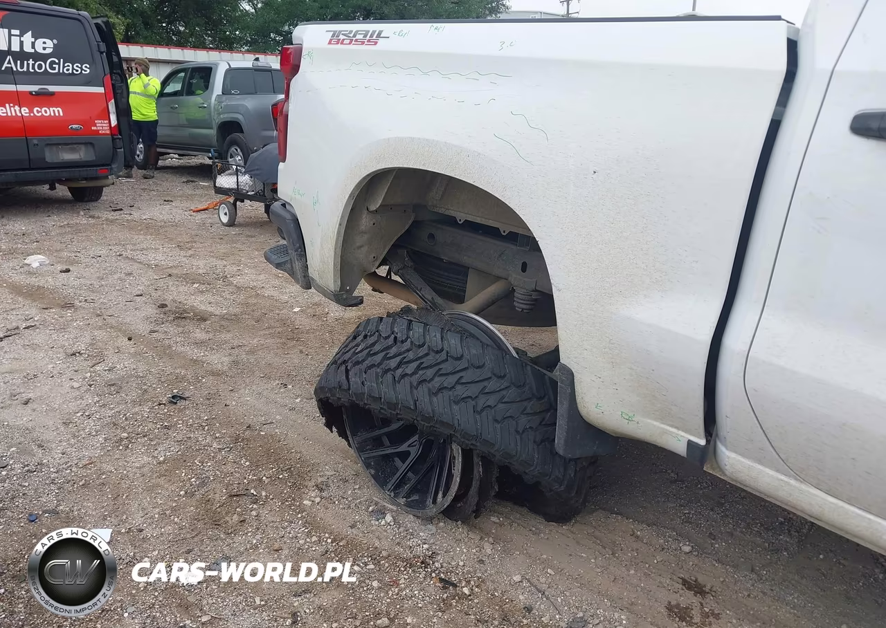 2020 Chevrolet Silverado 1500 4Wd Short Bed Custom Trail Boss VIN:1GCPYCEF6LZ151320 - 20