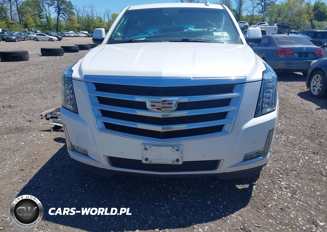 2016 Cadillac Escalade Luxury Collection VIN:1GYS4BKJ2GR432426 - 12