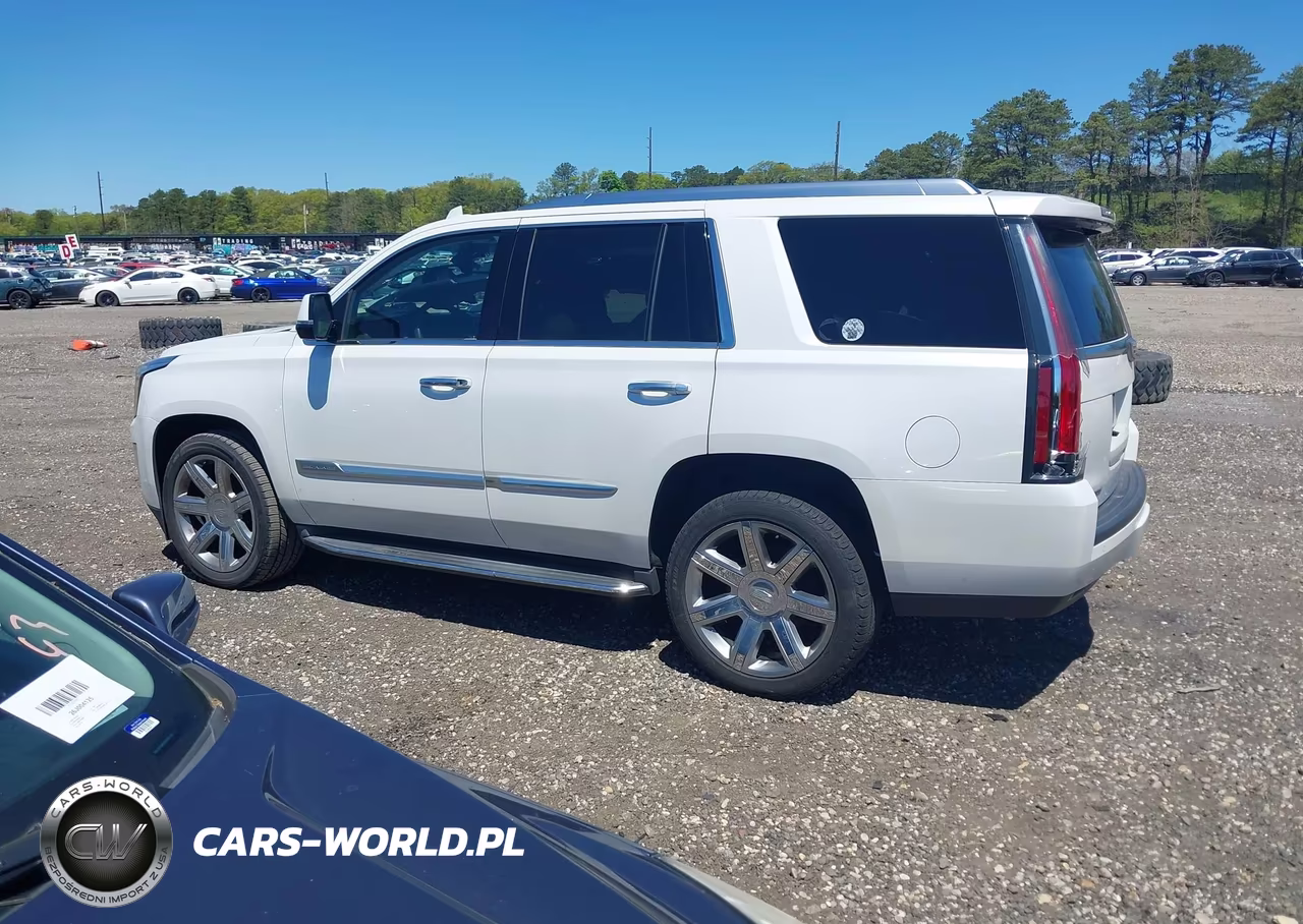 2016 Cadillac Escalade Luxury Collection VIN:1GYS4BKJ2GR432426 - 14