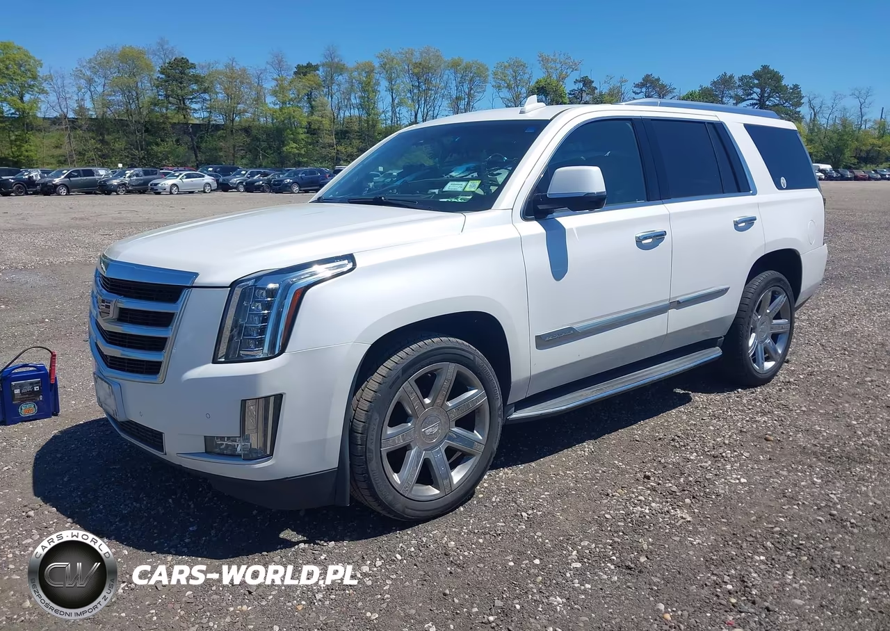 2016 Cadillac Escalade Luxury Collection VIN:1GYS4BKJ2GR432426 - 2