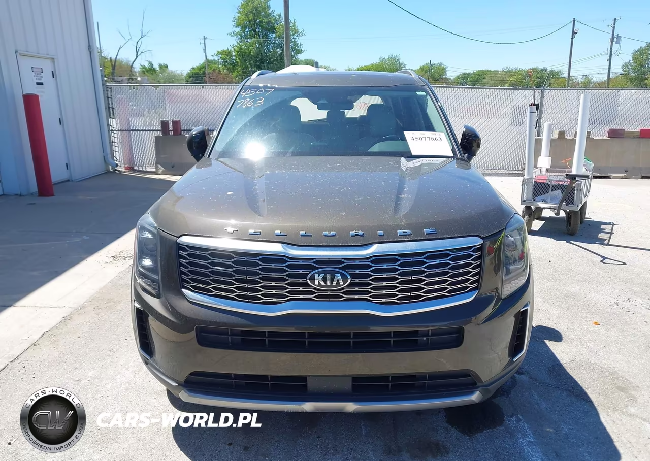 2020 Kia Telluride Ex VIN:5XYP34HC9LG052611 - 12