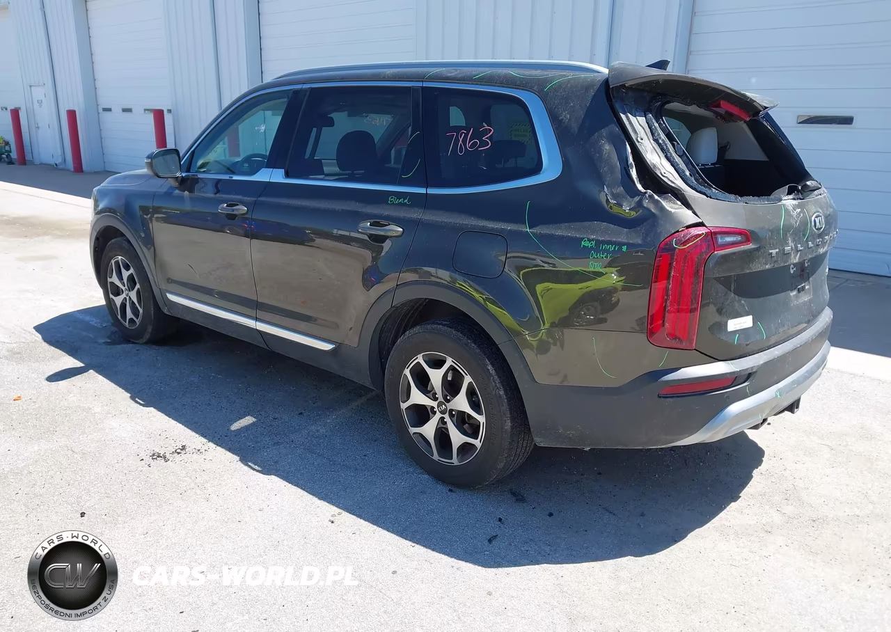 2020 Kia Telluride Ex VIN:5XYP34HC9LG052611 - 3