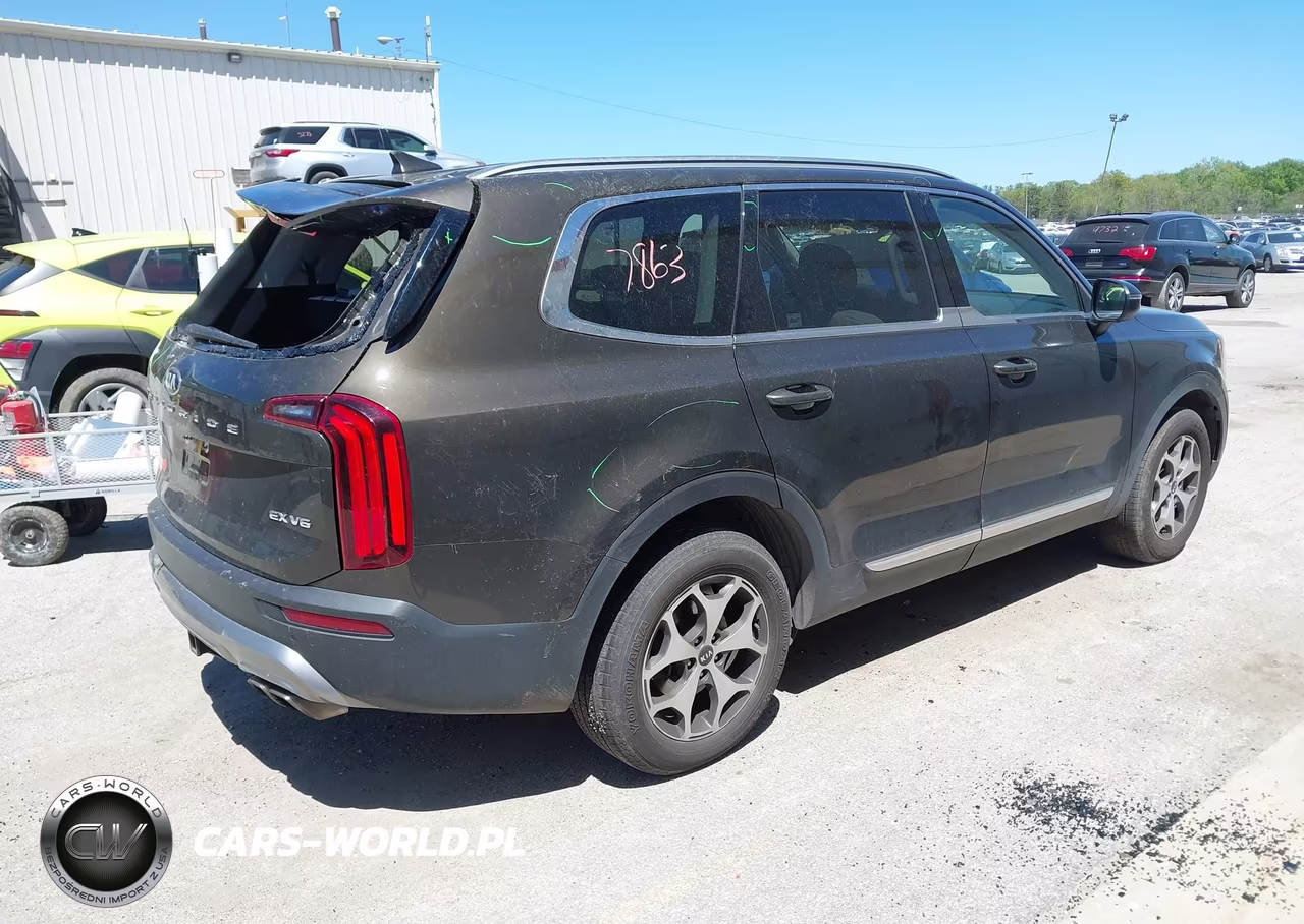 2020 Kia Telluride Ex VIN:5XYP34HC9LG052611 - 4