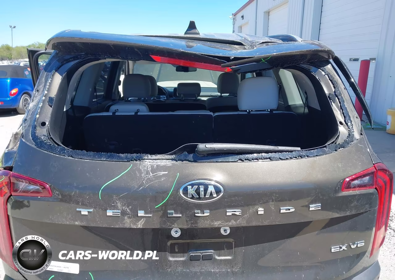2020 Kia Telluride Ex VIN:5XYP34HC9LG052611 - 6