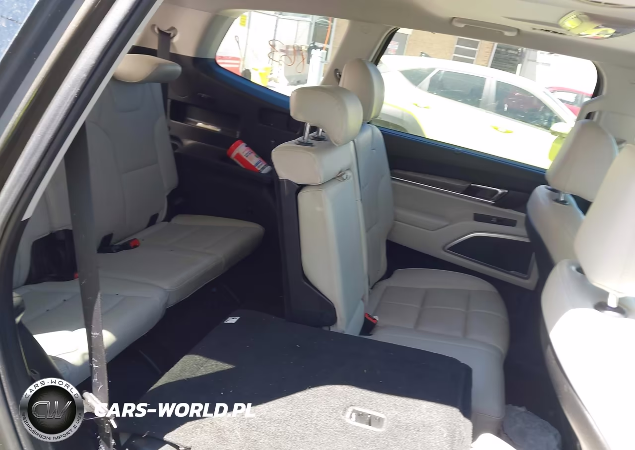 2020 Kia Telluride Ex VIN:5XYP34HC9LG052611 - 8
