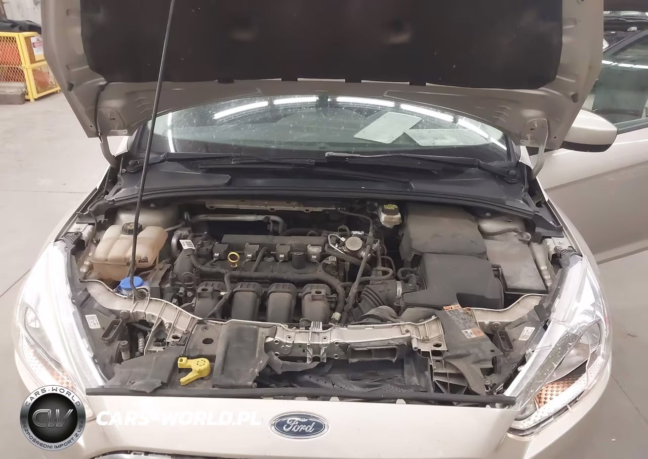 2018 Ford Focus Se VIN:1FADP3F26JL328441 - 10