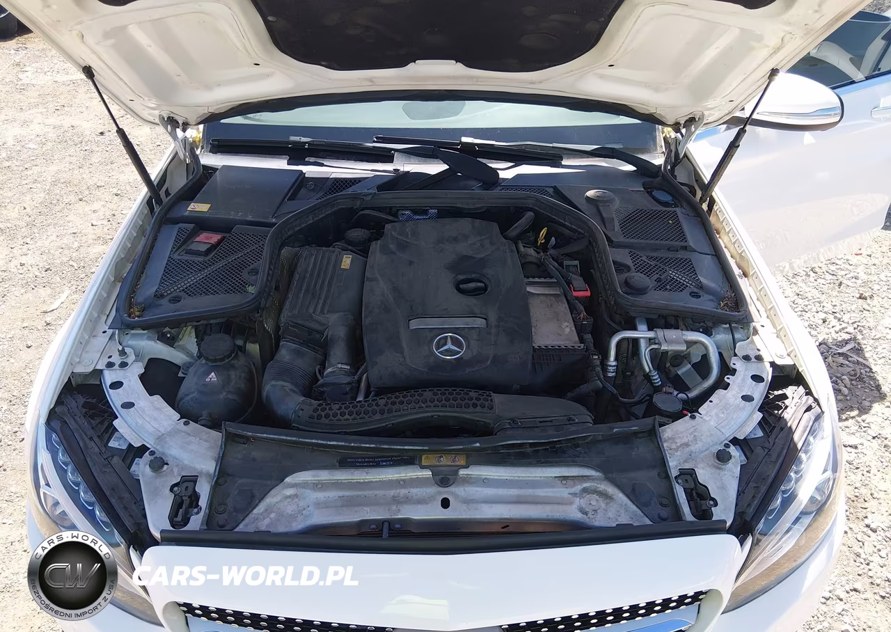 2015 Mercedes-Benz C 300 4Matic-Luxury 4Matic-Sport 4Matic VIN:55SWF4KB2FU040295 - 10