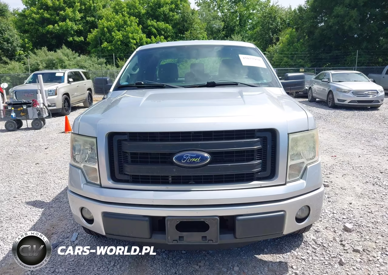 2013 Ford F-150 Stx VIN:1FTFX1CF0DKG02046 - 12