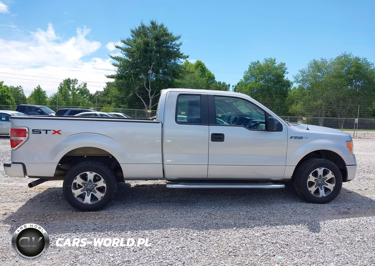 2013 Ford F-150 Stx VIN:1FTFX1CF0DKG02046 - 13