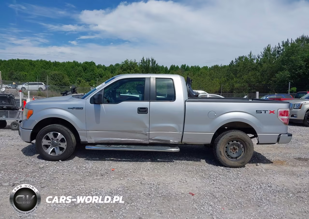 2013 Ford F-150 Stx VIN:1FTFX1CF0DKG02046 - 14