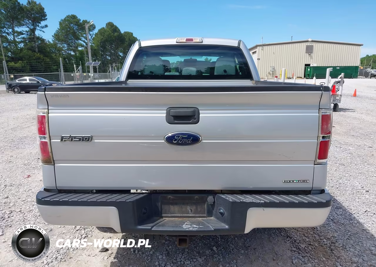 2013 Ford F-150 Stx VIN:1FTFX1CF0DKG02046 - 16