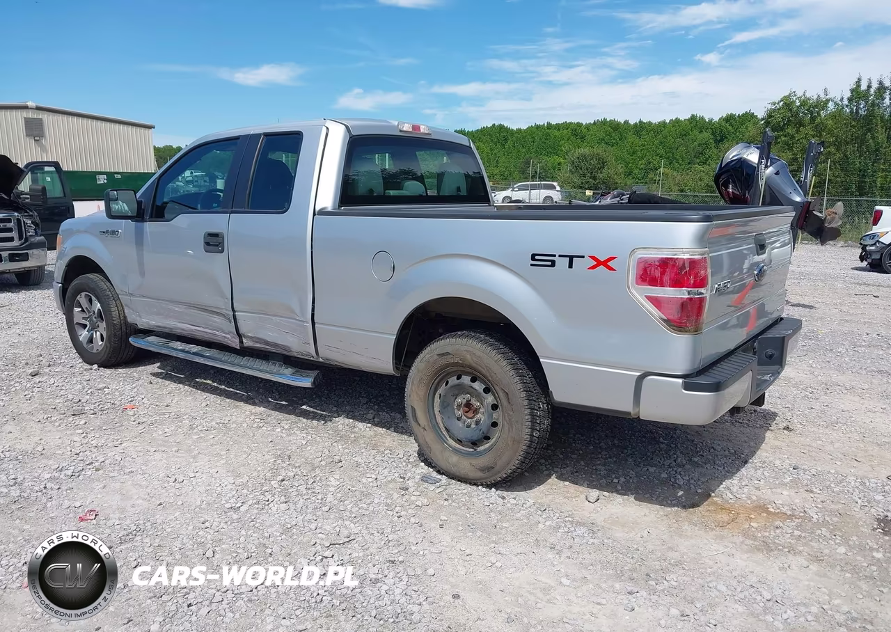 2013 Ford F-150 Stx VIN:1FTFX1CF0DKG02046 - 3