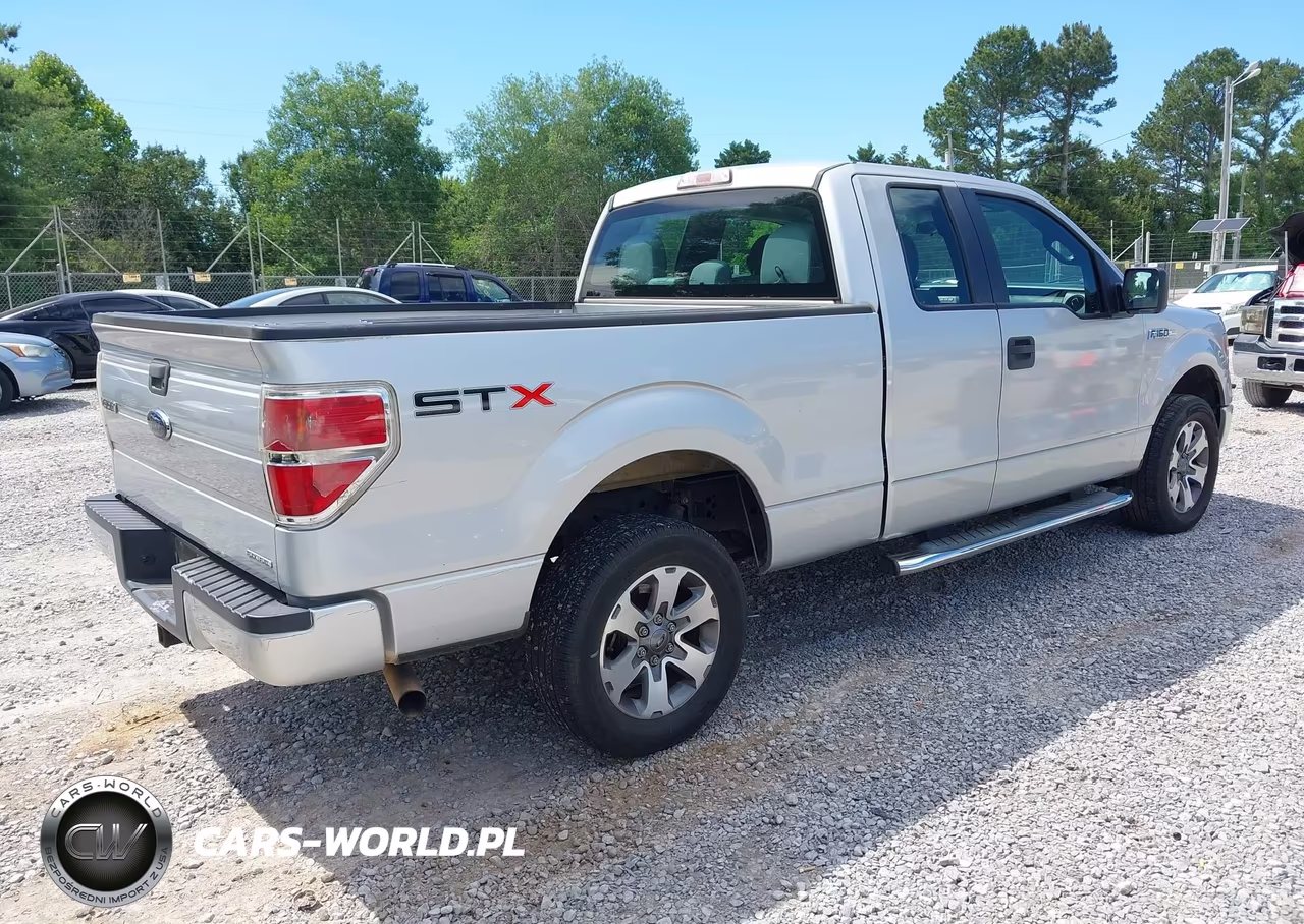 2013 Ford F-150 Stx VIN:1FTFX1CF0DKG02046 - 4
