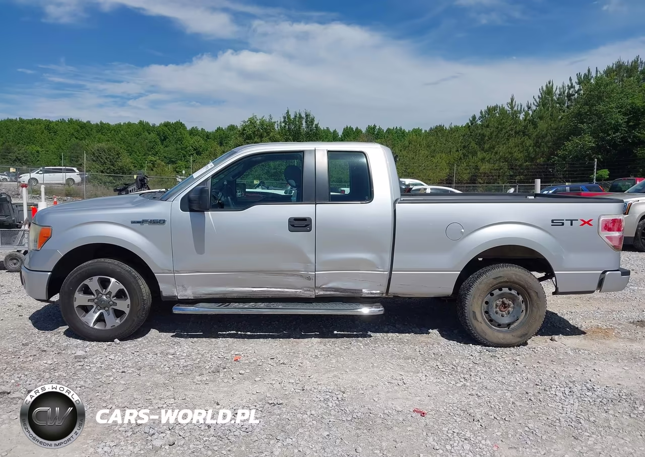 2013 Ford F-150 Stx VIN:1FTFX1CF0DKG02046 - 6