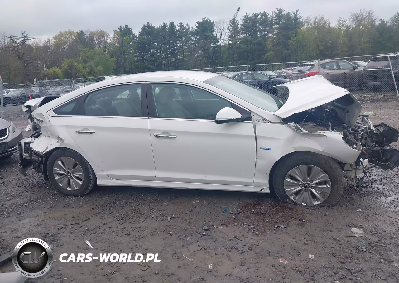 2019 Hyundai Sonata Hybrid Se VIN:KMHE24L31KA093553 - 12
