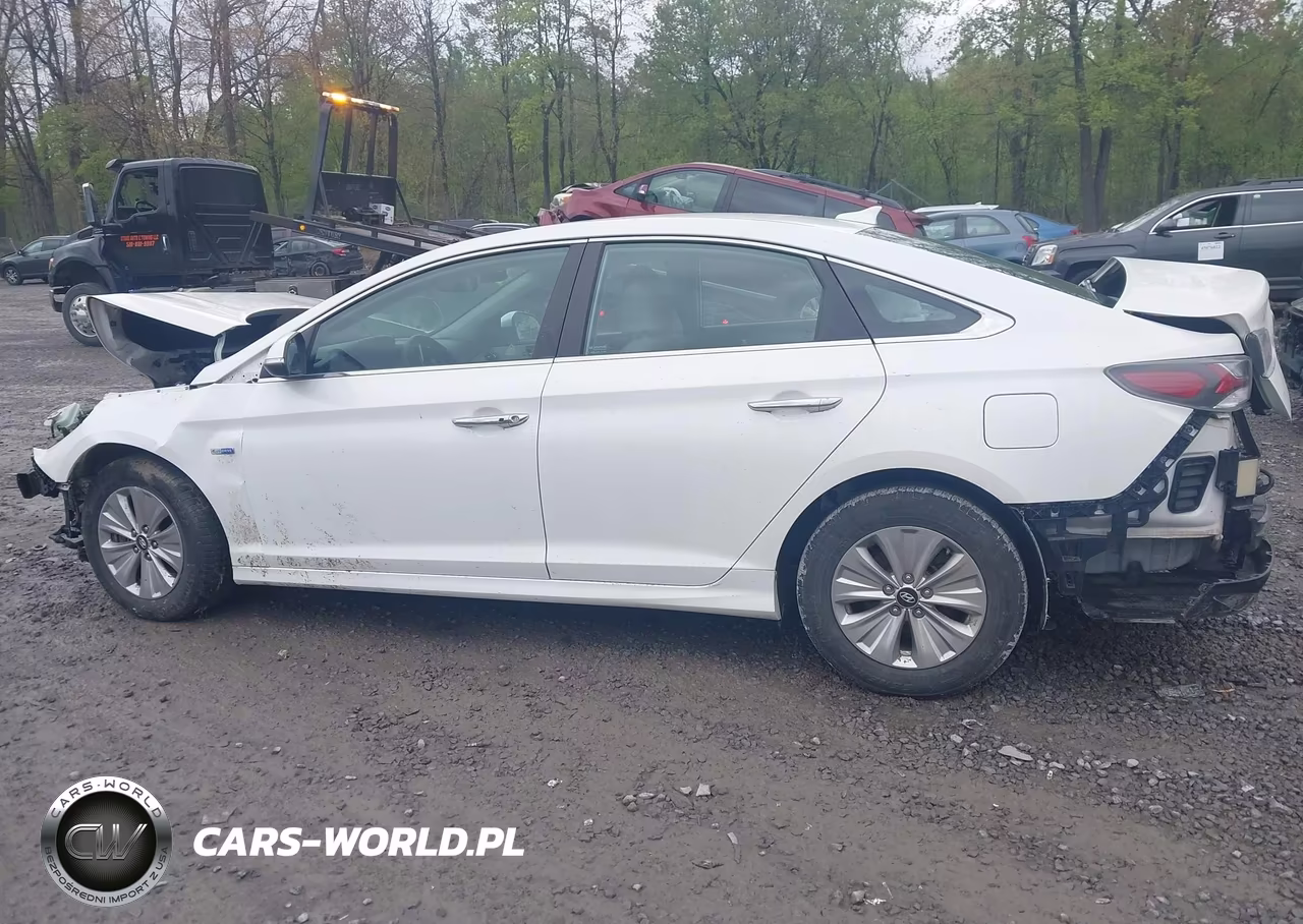 2019 Hyundai Sonata Hybrid Se VIN:KMHE24L31KA093553 - 13