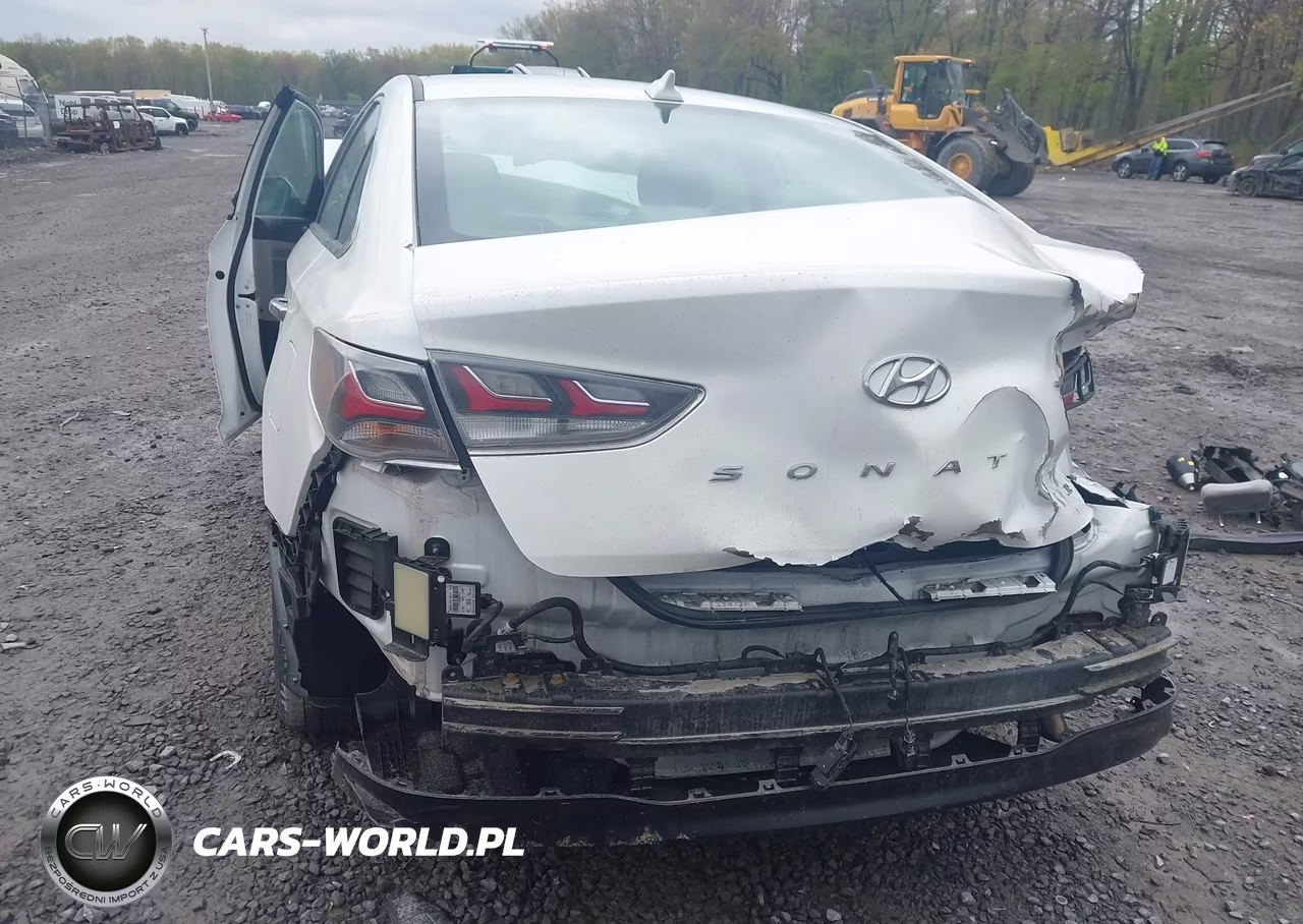 2019 Hyundai Sonata Hybrid Se VIN:KMHE24L31KA093553 - 6
