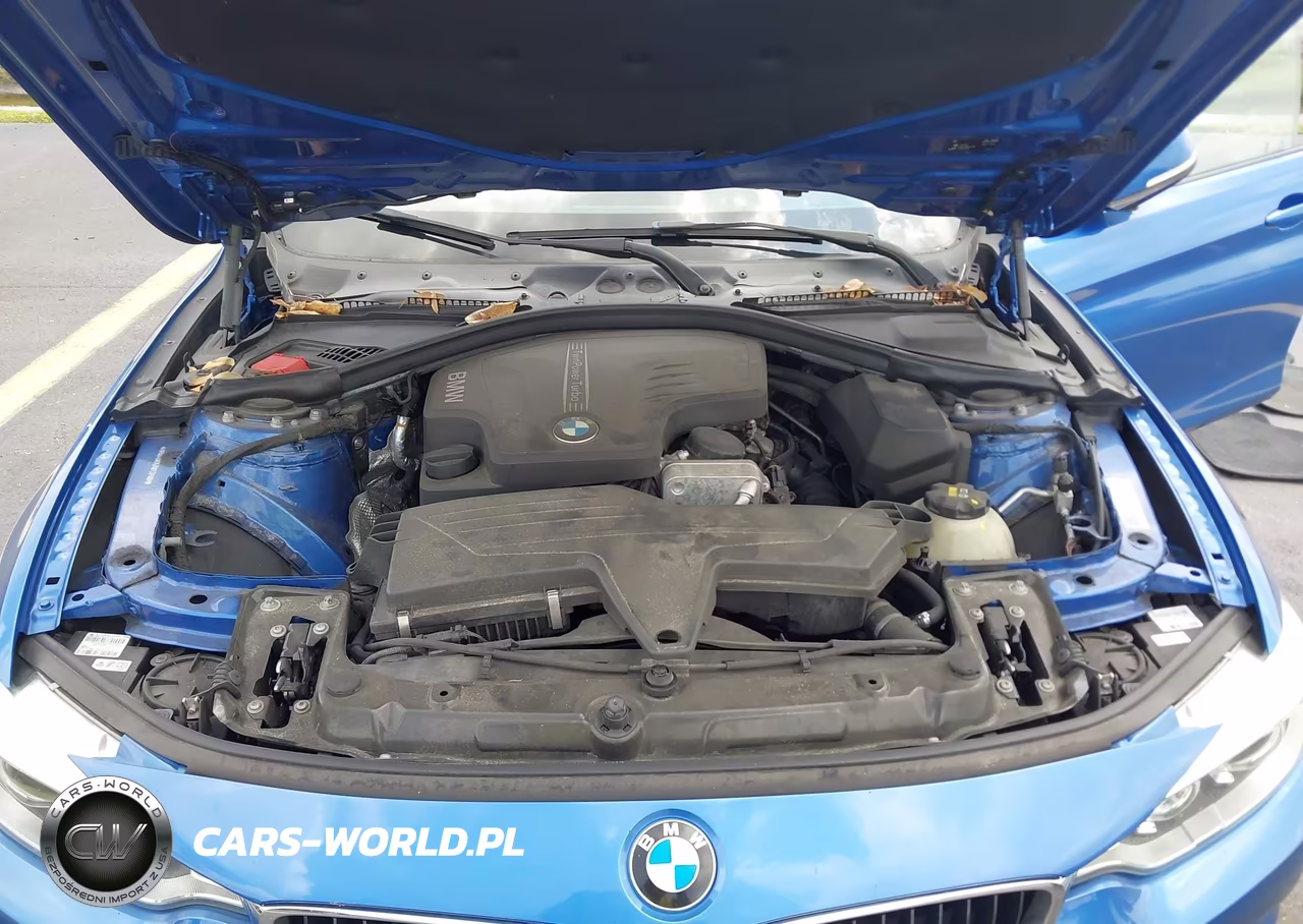 2016 BMW 428I Gran Coupe xDrive VIN:WBA4C9C52GG137492 - 10