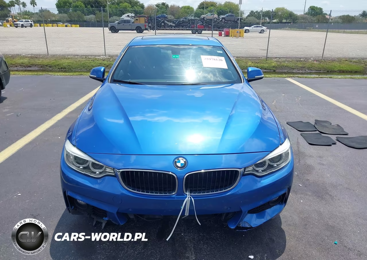 2016 BMW 428I Gran Coupe xDrive VIN:WBA4C9C52GG137492 - 12