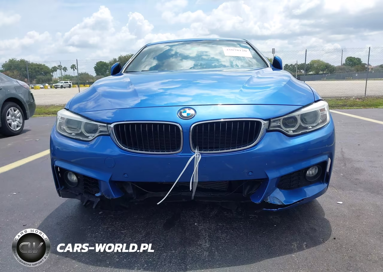2016 BMW 428I Gran Coupe xDrive VIN:WBA4C9C52GG137492 - 6