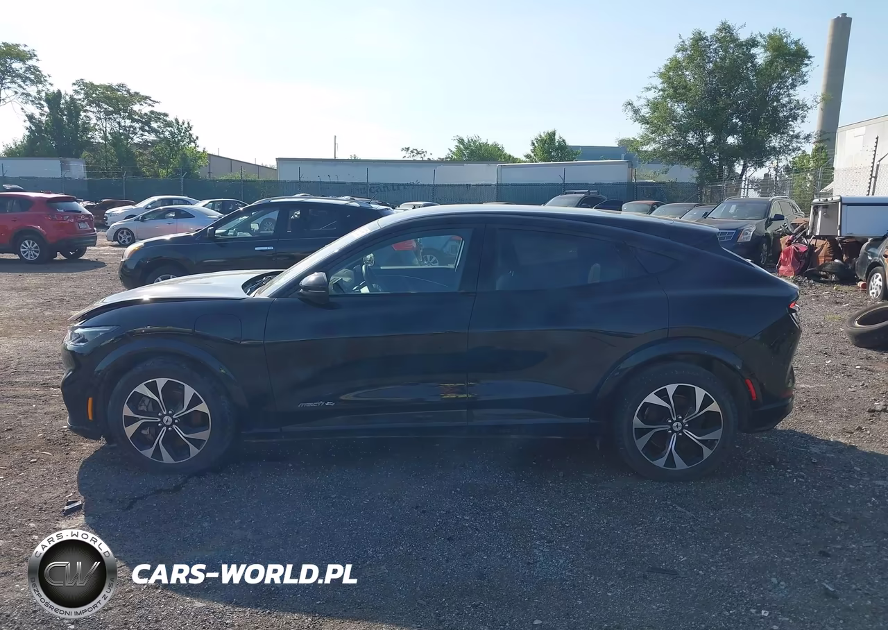 2022 Ford Mustang Mach-E Premium VIN:3FMTK3SU7MMA01931 - 14