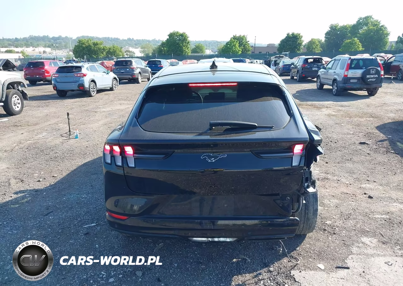 2022 Ford Mustang Mach-E Premium VIN:3FMTK3SU7MMA01931 - 16