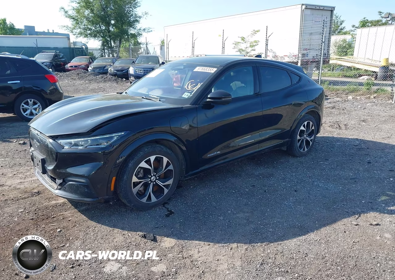 2022 Ford Mustang Mach-E Premium VIN:3FMTK3SU7MMA01931 - 2