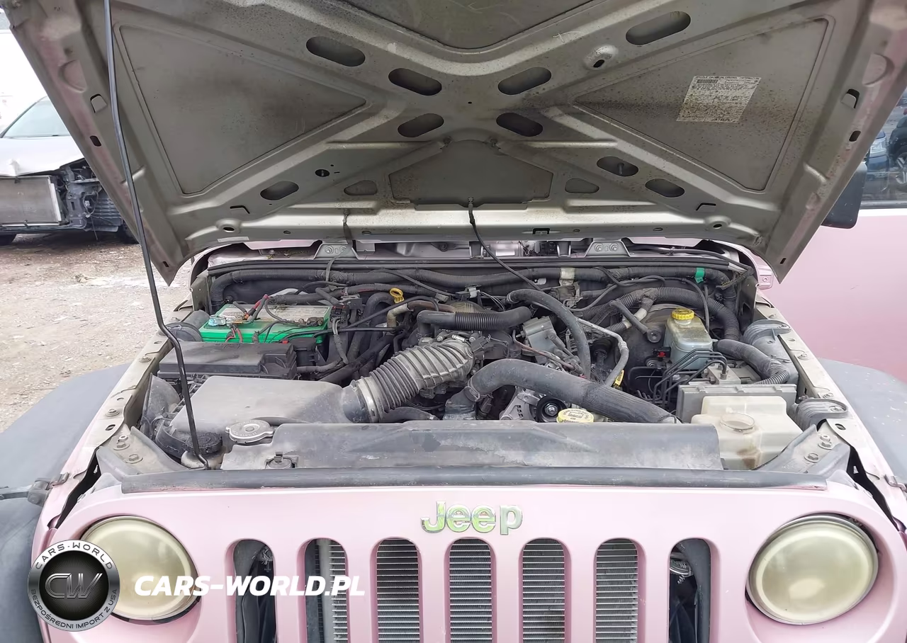 2007 Jeep Wrangler Unlimited X VIN:1J4GA391X7L171916 - 10