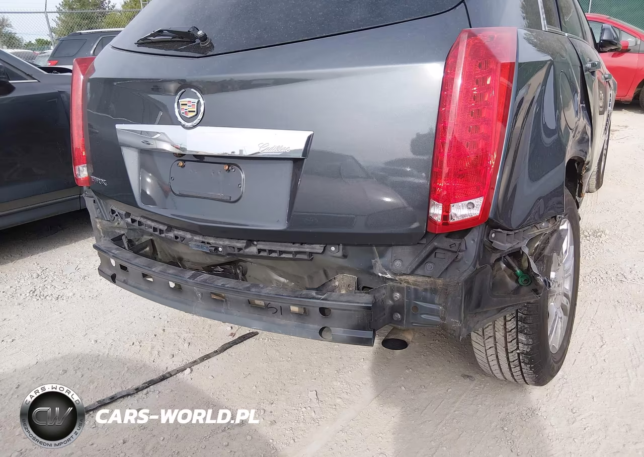 2010 Cadillac Srx Luxury Collection VIN:3GYFNAEY1AS553681 - 12