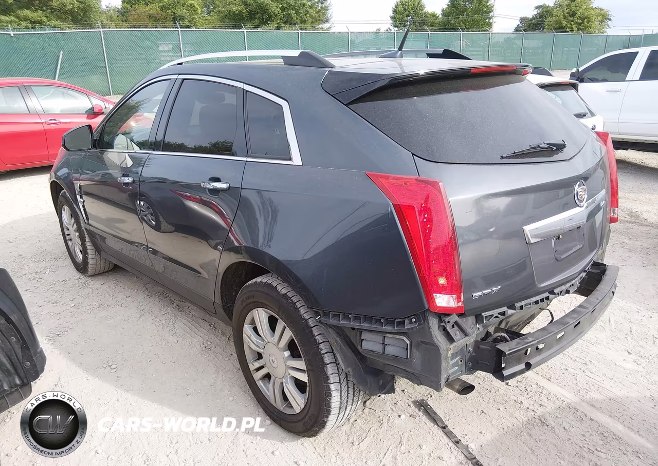 2010 Cadillac Srx Luxury Collection VIN:3GYFNAEY1AS553681 - 3