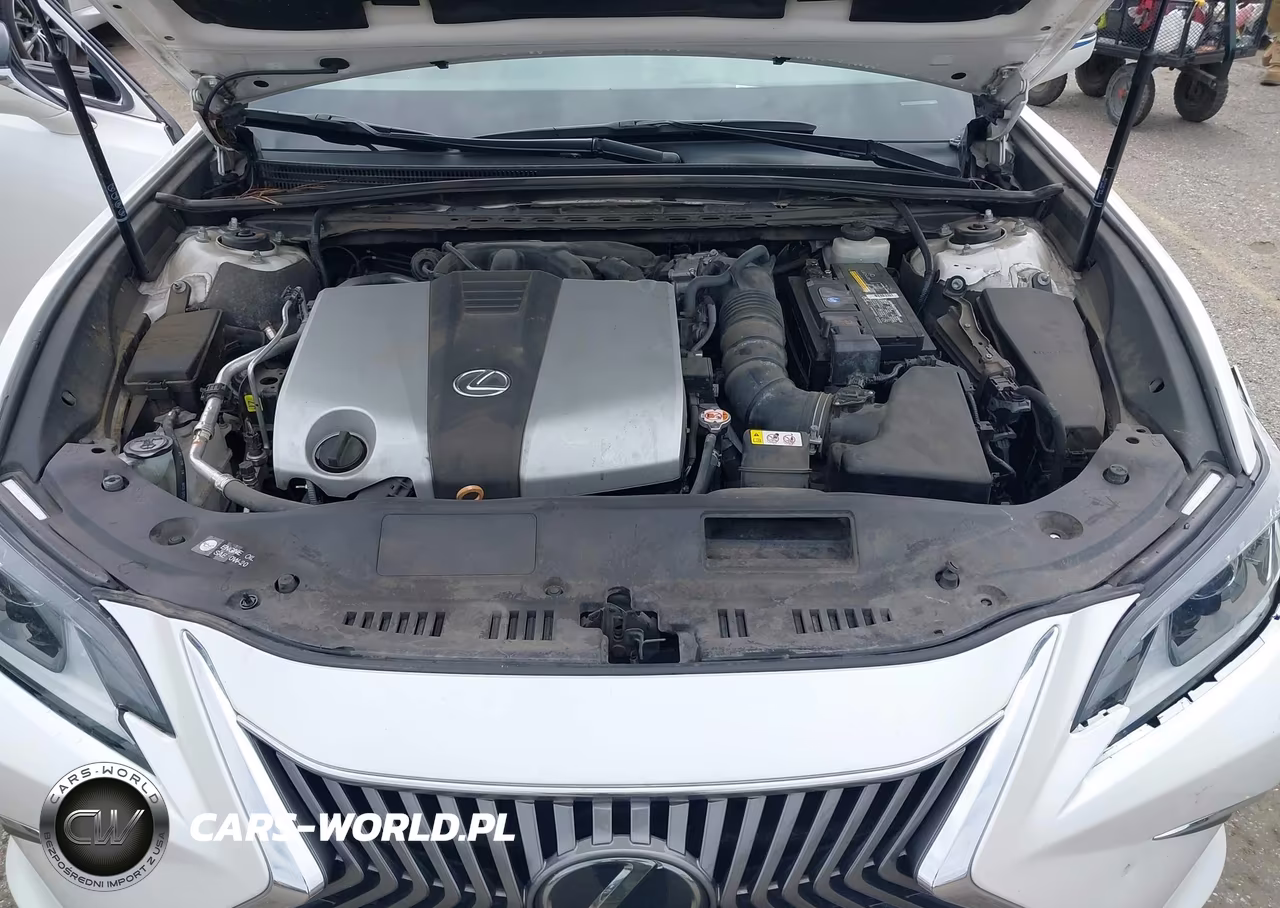 2019 Lexus Es 350 VIN:58ABZ1B18KU033273 - 10