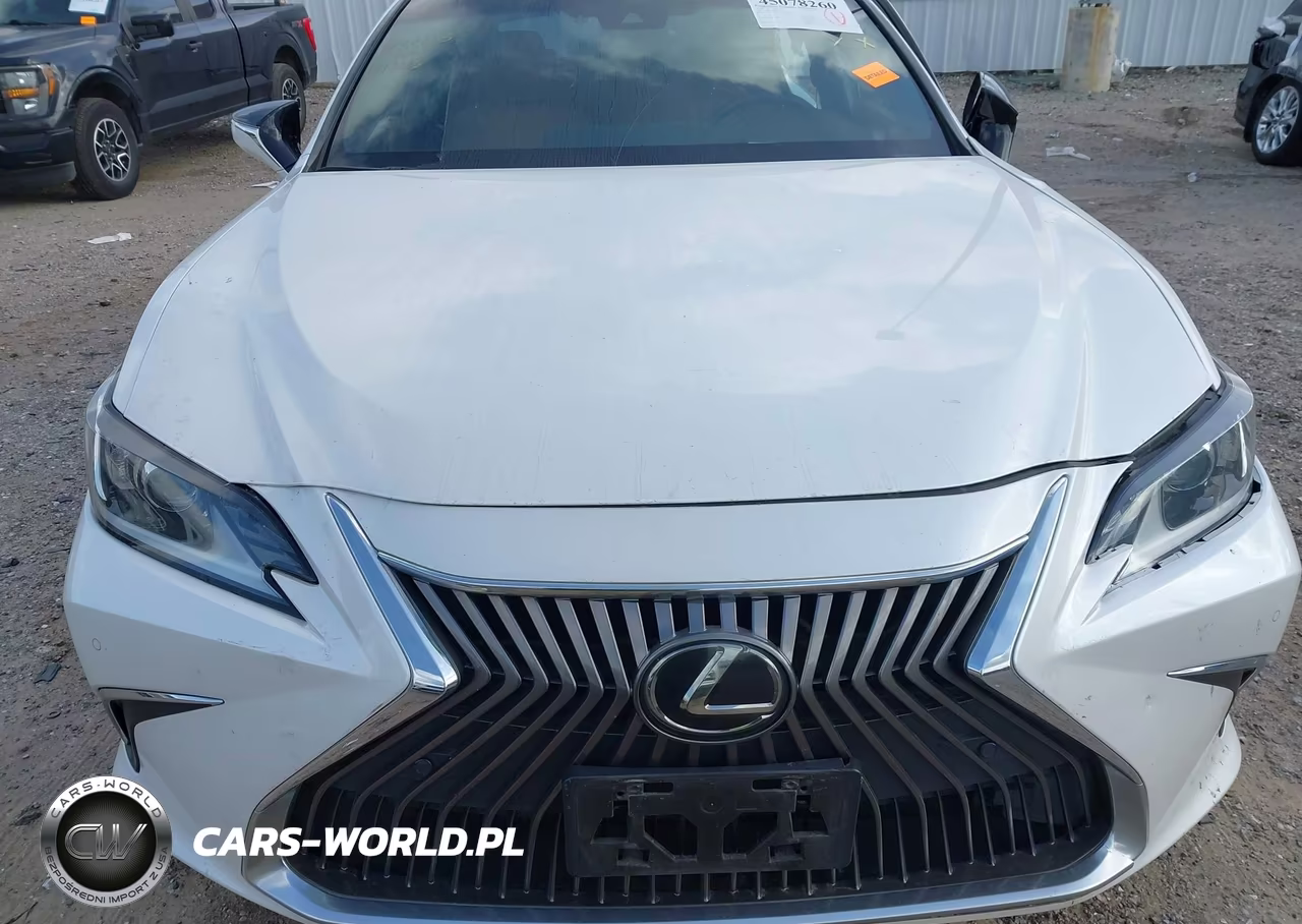 2019 Lexus Es 350 VIN:58ABZ1B18KU033273 - 12
