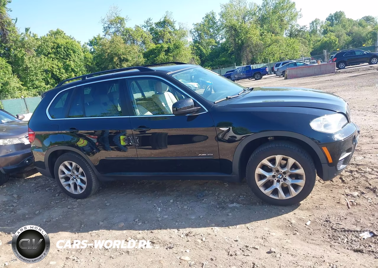 2013 BMW X5 xDrive35I-xDrive35I Premium-xDrive35I Sport Activity VIN:5UXZV4C59D0G54316 - 13