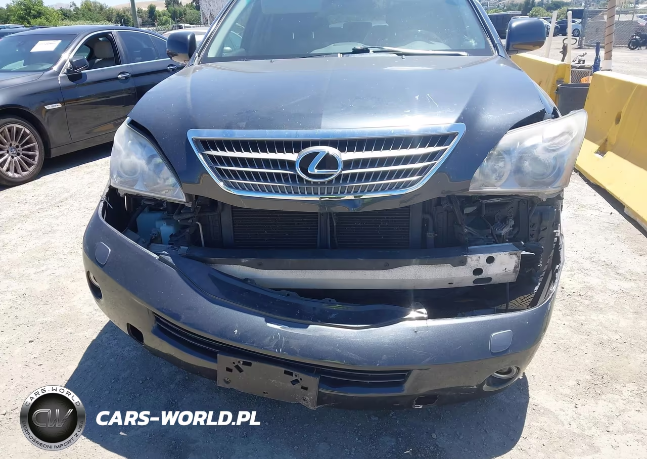 2008 Lexus Rx 400H VIN:JTJGW31U382006291 - 6