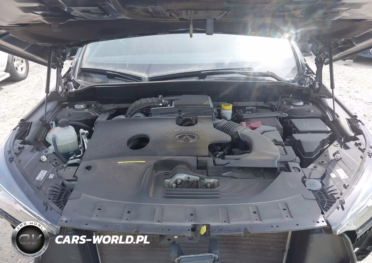 2023 Infiniti Qx50 Sport VIN:3PCAJ5FA0PF114199 - 10