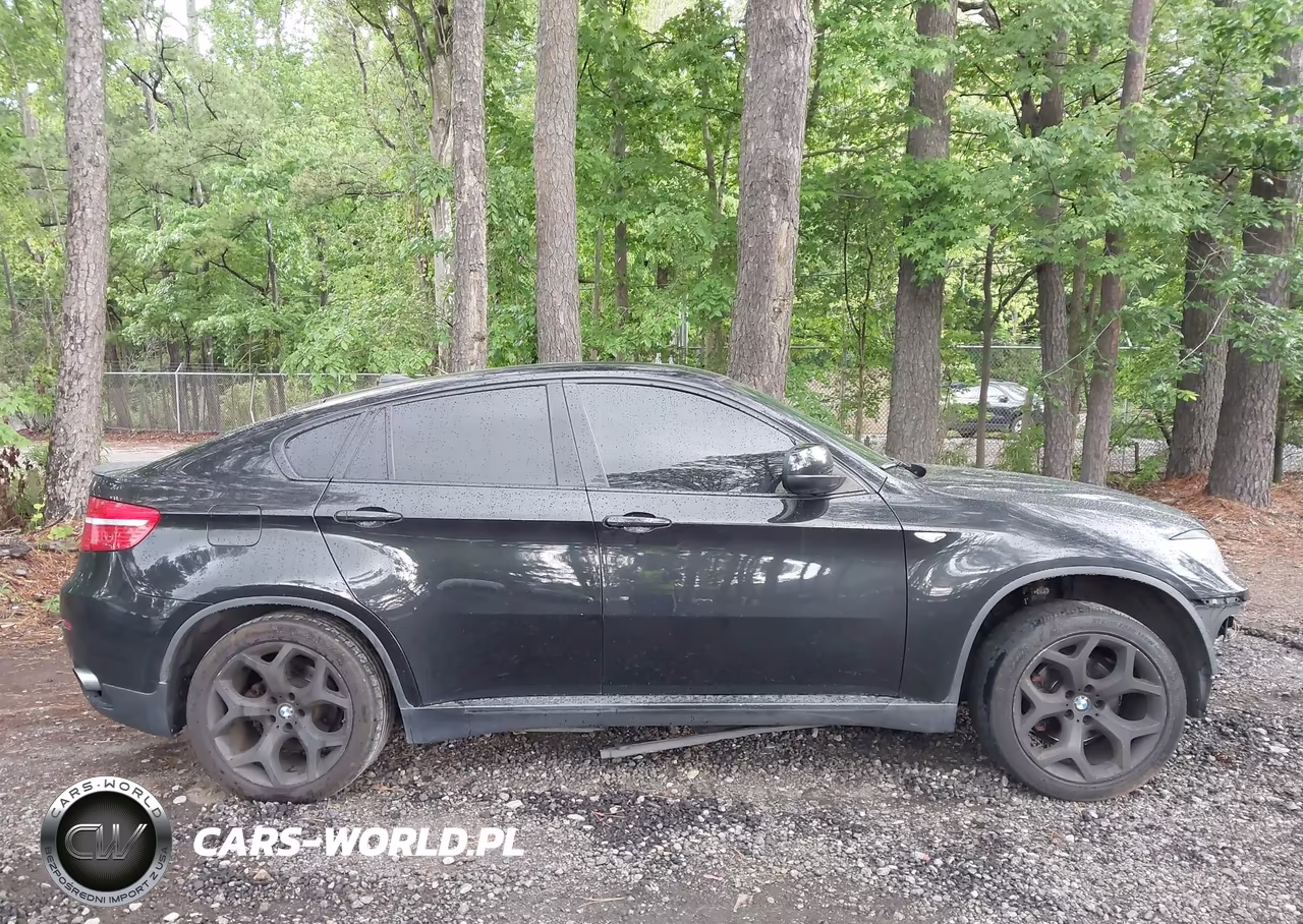 2011 BMW X6 xDrive35I VIN:5UXFG2C5XBLX07826 - 14