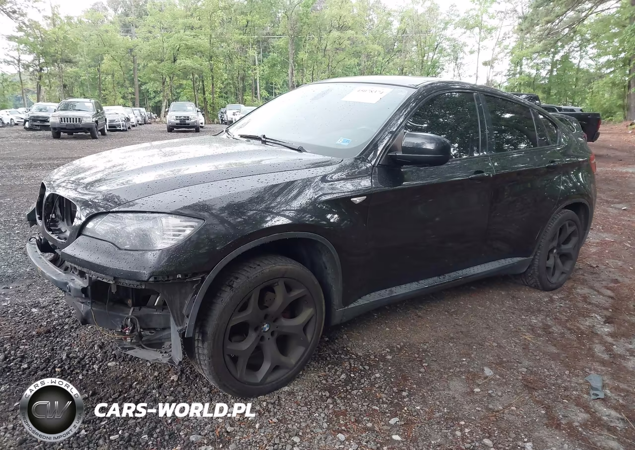 2011 BMW X6 xDrive35I VIN:5UXFG2C5XBLX07826 - 2