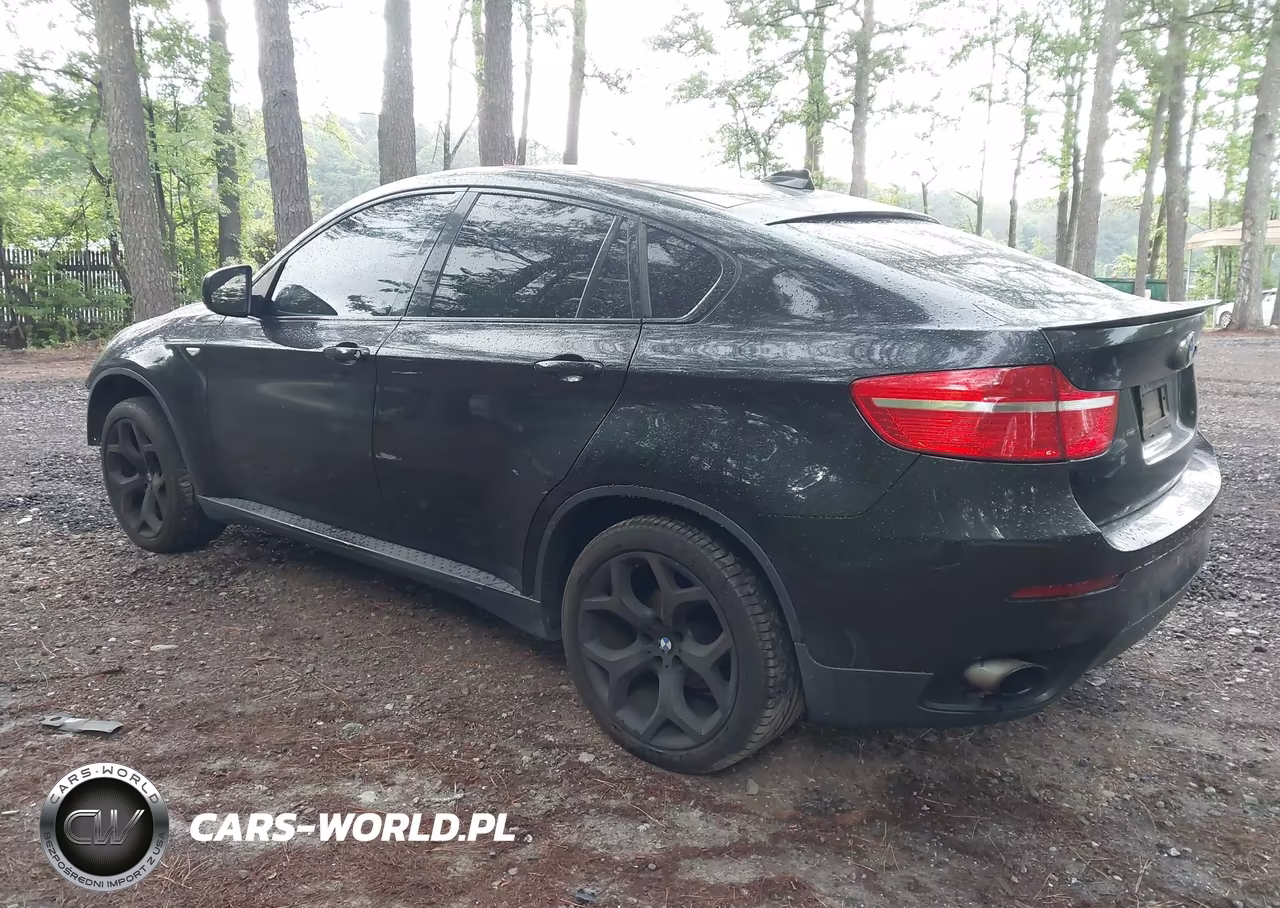 2011 BMW X6 xDrive35I VIN:5UXFG2C5XBLX07826 - 3
